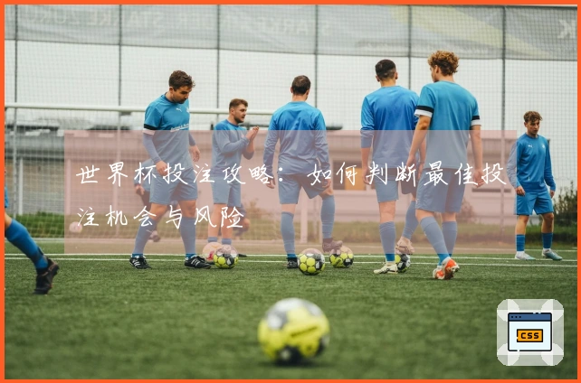 世界杯投注攻略：如何判断最佳投注机会与风险