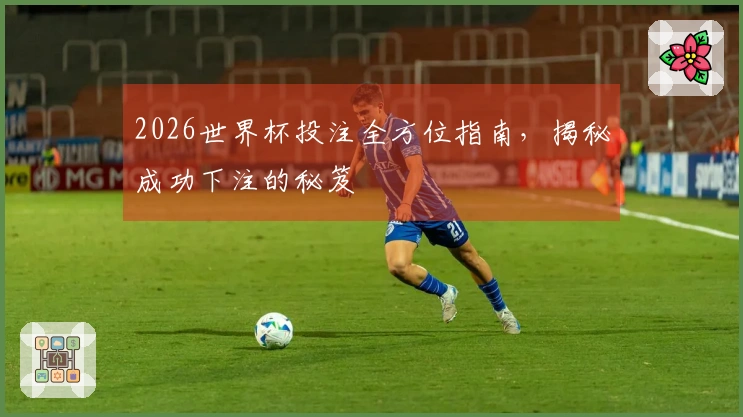 2026世界杯投注全方位指南，揭秘成功下注的秘笈