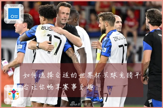 如何选择合适的世界杯买球竞猜平台让你畅享赛事乐趣