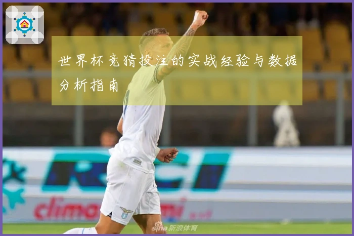 世界杯竞猜投注的实战经验与数据分析指南