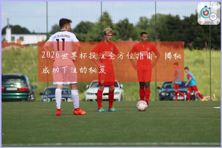 2026世界杯投注全方位指南，揭秘成功下注的秘笈