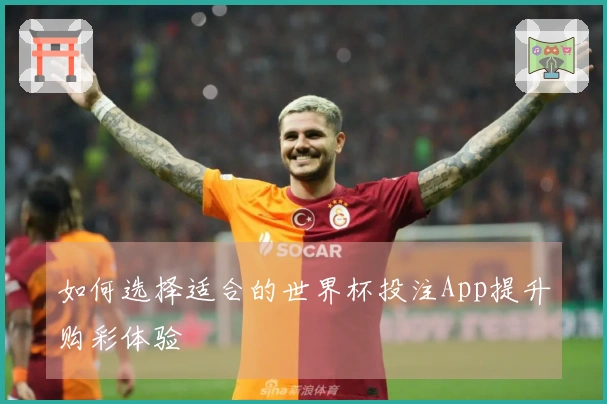 如何选择适合的世界杯投注App提升购彩体验