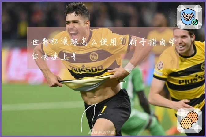 世界杯滚球怎么使用？新手指南带你快速上手